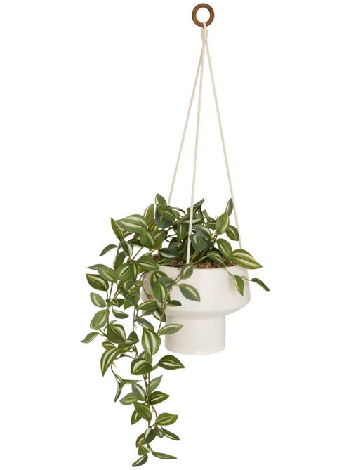 Plante artificielle suspendue h 80 cm homy - Kiabi