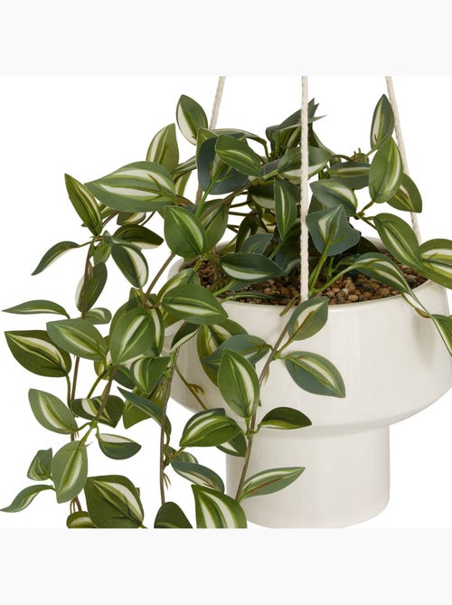 Plante artificielle suspendue h 80 cm homy - Kiabi