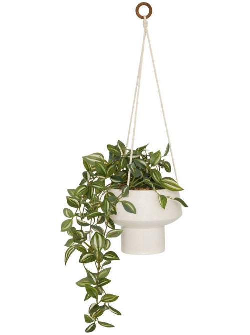 Plante artificielle suspendue h 80 cm homy - Kiabi