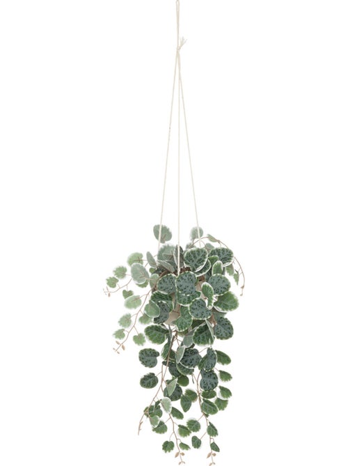 Plante artificielle suspendue LOURMARIN - Kiabi