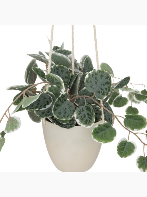 Plante artificielle suspendue LOURMARIN - Kiabi