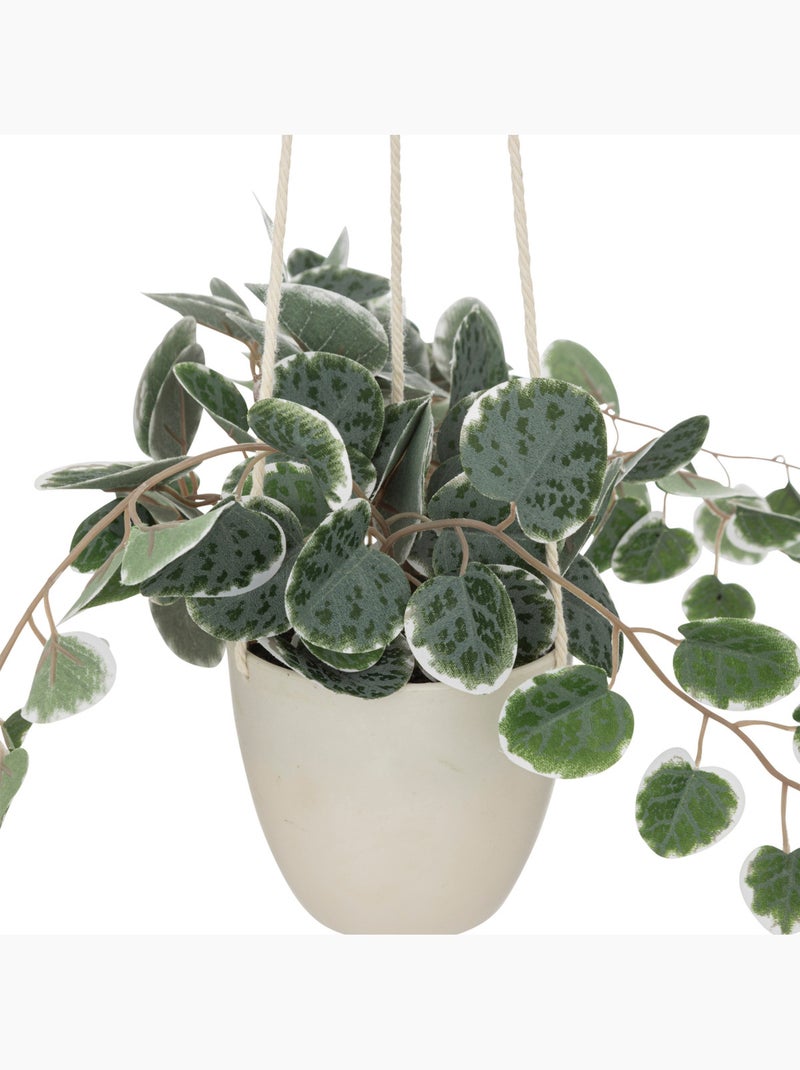 Plante artificielle suspendue LOURMARIN Blanc - Kiabi