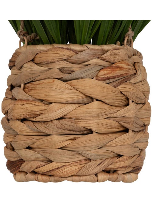 Plante artificielle suspendue MODA - Kiabi