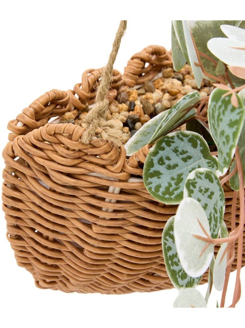 Plante artificielle suspendue MONA - Kiabi