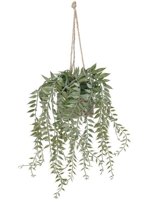 Plante artificielle suspendue PATRI - Kiabi
