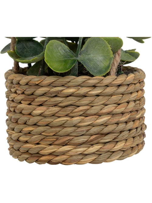 Plante artificielle suspendue PATRI - Kiabi