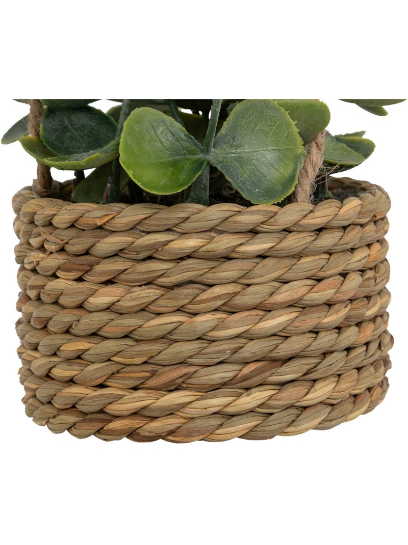 Plante artificielle suspendue PATRI Blanc - Kiabi