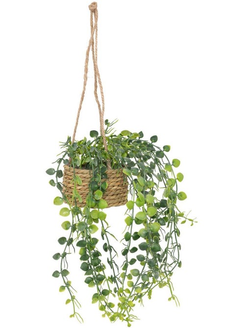 Plante artificielle suspendue PATRI - Kiabi