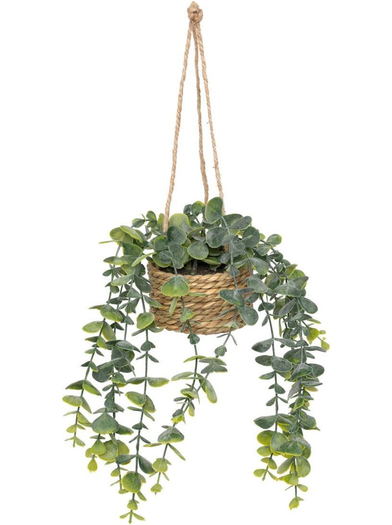 Plante artificielle suspendue PATRI Noir - Kiabi