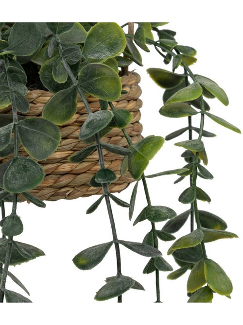 Plante artificielle suspendue PATRI - Kiabi