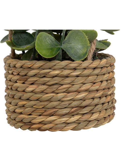 Plante artificielle suspendue PATRI - Kiabi