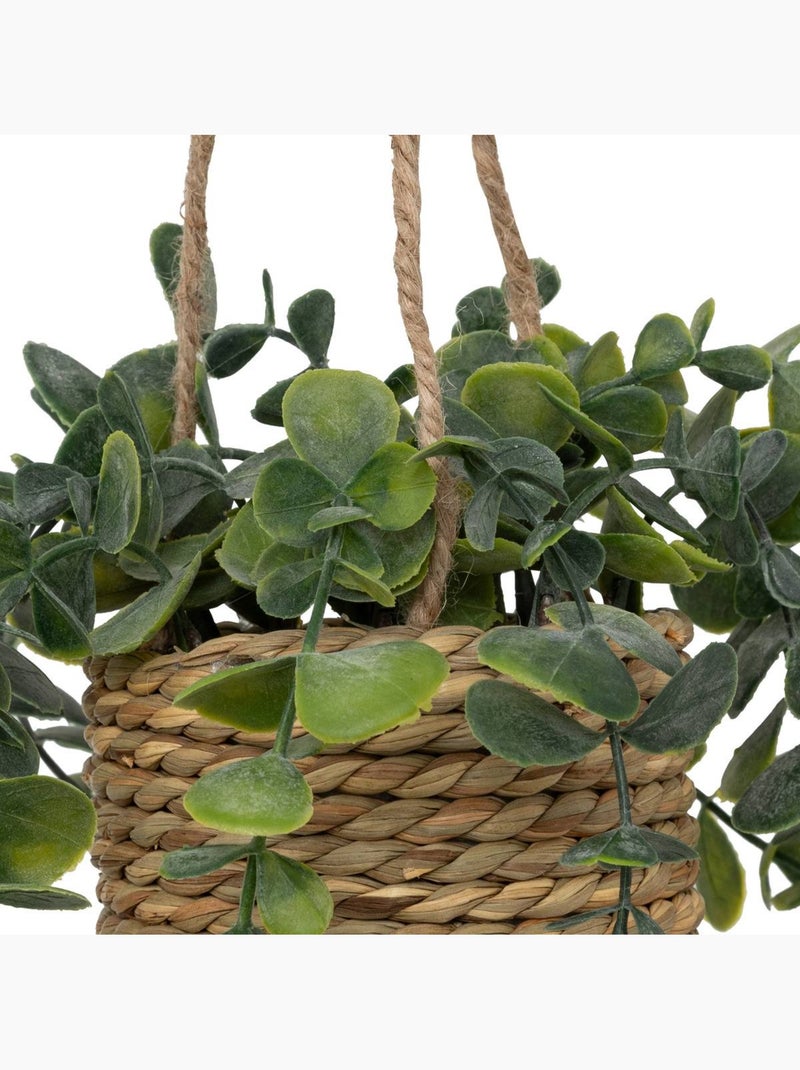 Plante artificielle suspendue PATRI Noir - Kiabi