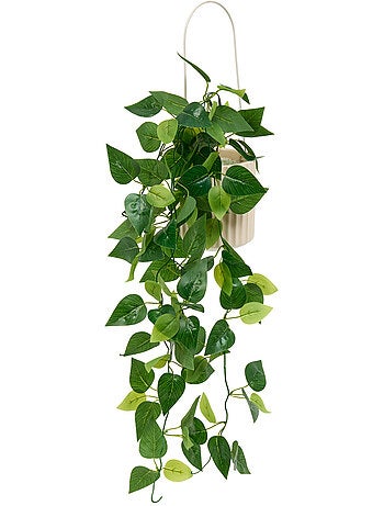Plante artificielle suspendue pot céramique POOL