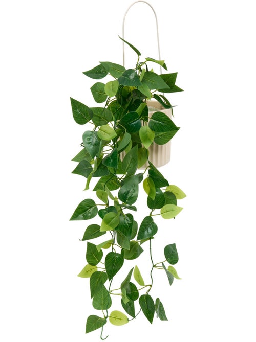 Plante artificielle suspendue pot céramique POOL - Kiabi