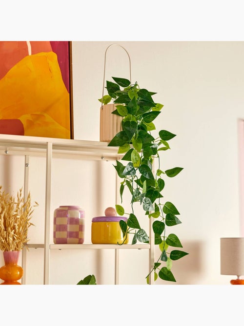 Plante artificielle suspendue pot céramique POOL - Kiabi