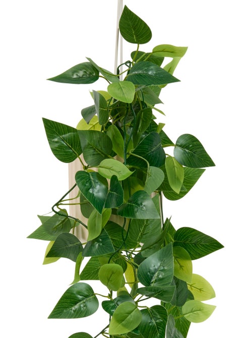 Plante artificielle suspendue pot céramique POOL - Kiabi