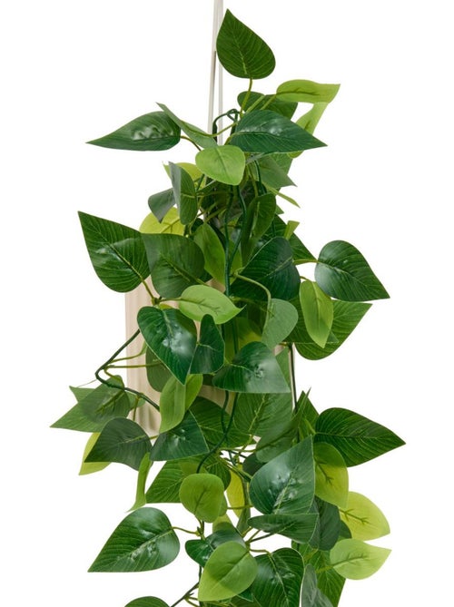 Plante artificielle suspendue pot céramique POOL - Kiabi