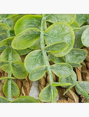 Plante artificielle suspendue zea