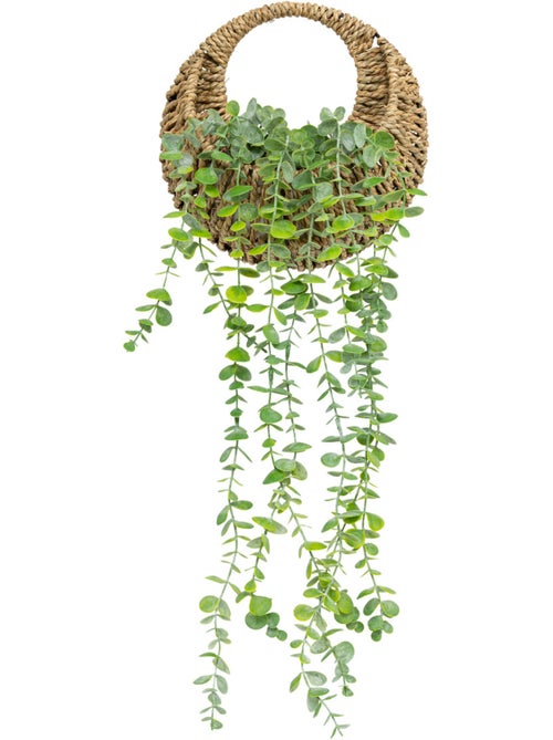 Plante artificielle suspendue ZEA - Kiabi