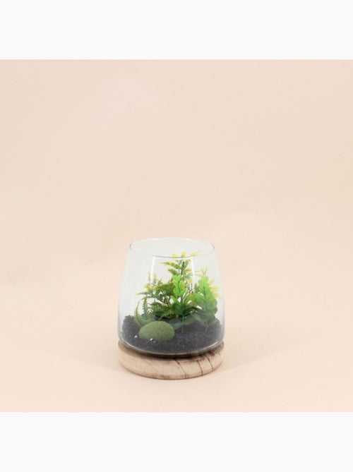Plante artificielle terrarium 16x13,5cm - Kiabi Plante artificielle terrarium 16x13,5cm - Kiabi