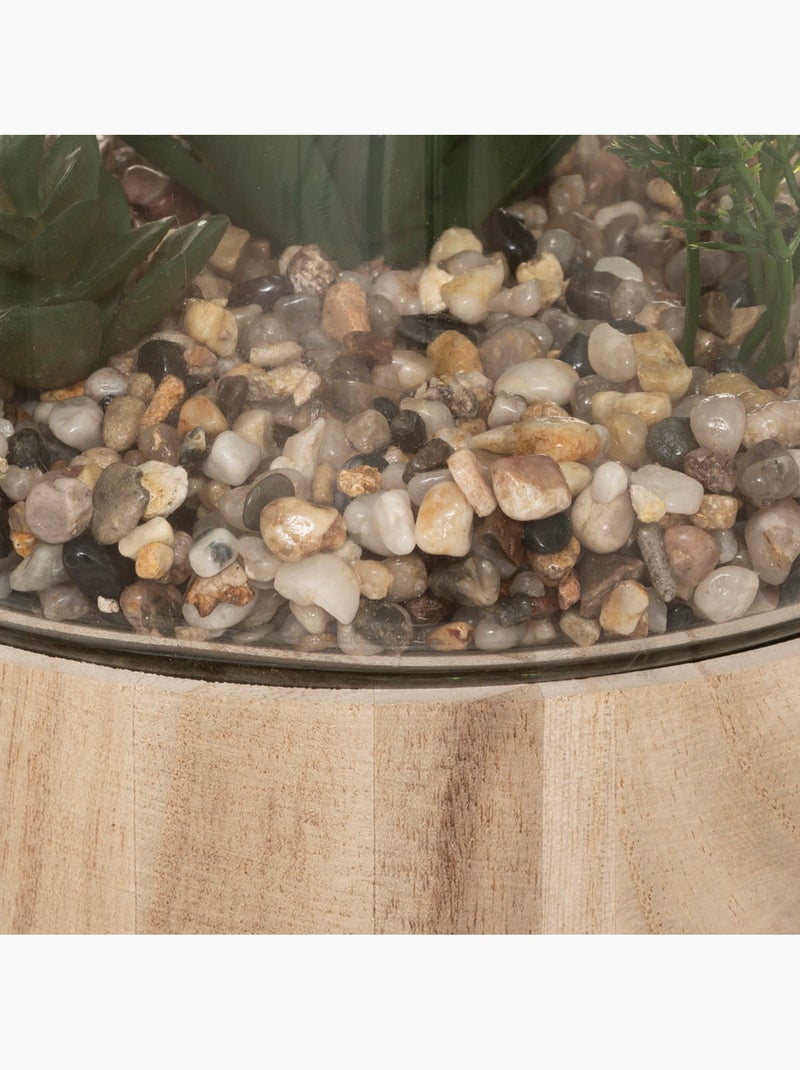 Plante artificielle terrarium KEIJO Transparent - Kiabi