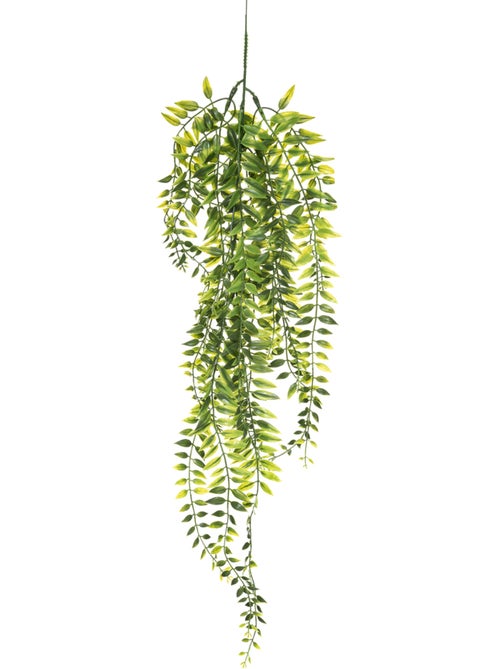 Plante artificielle tombante ALWEN - Kiabi