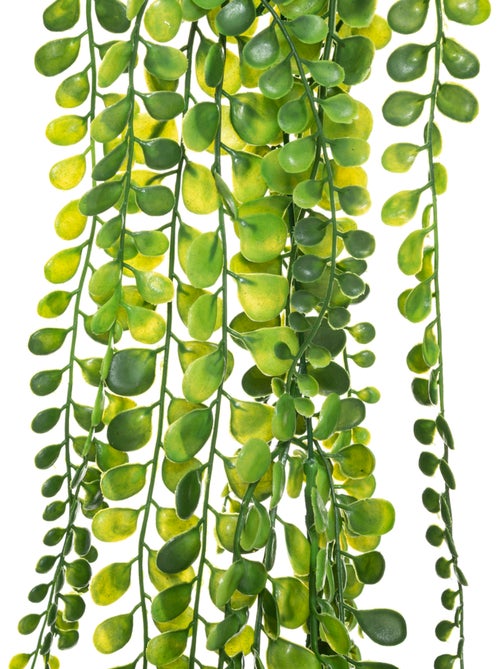 Plante artificielle tombante ALWEN - Kiabi