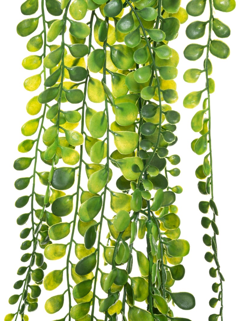 Plante artificielle tombante ALWEN Noir - Kiabi