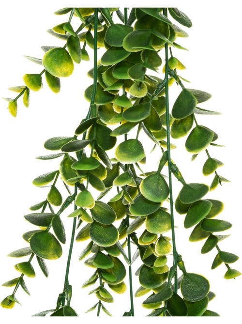Plante artificielle tombante ALWEN - Kiabi
