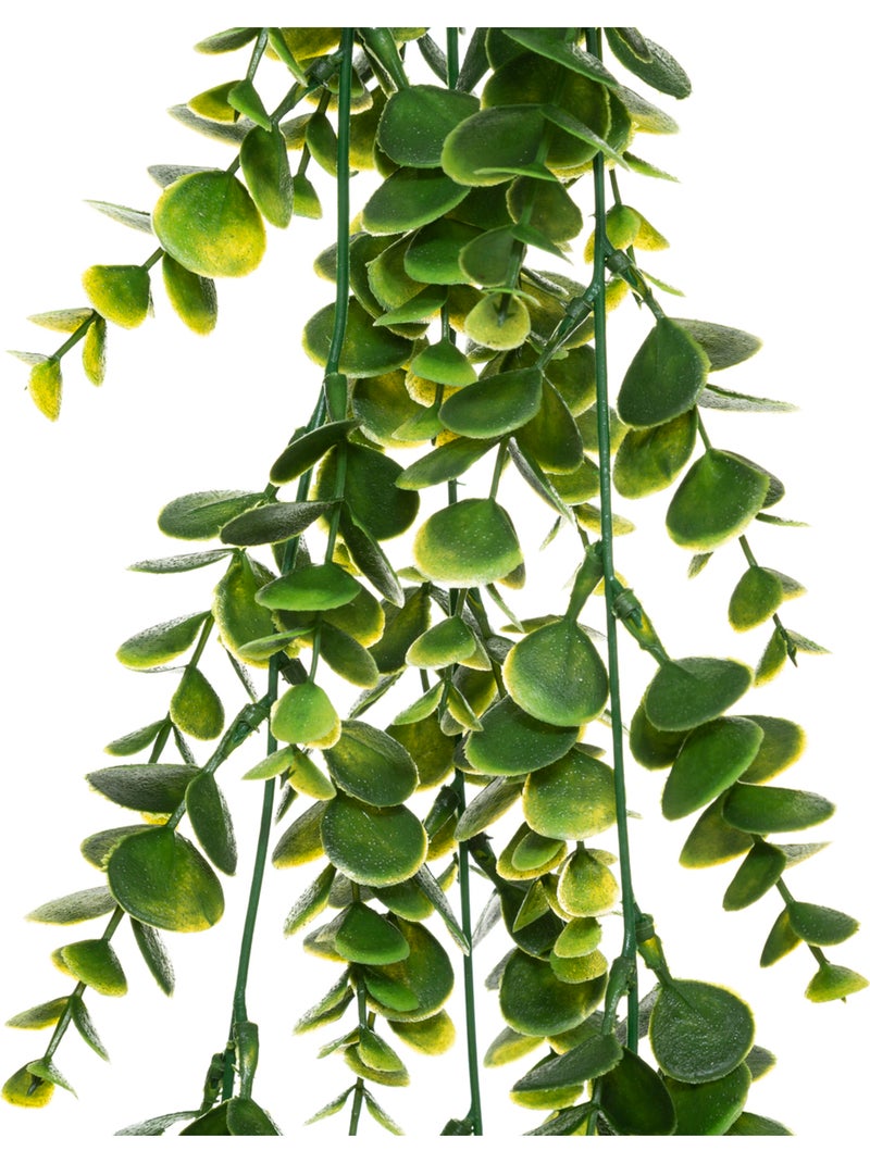 Plante artificielle tombante ALWEN Noir - Kiabi