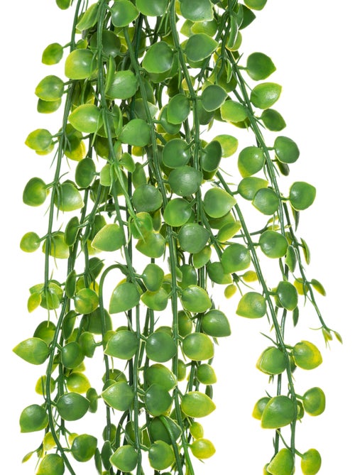 Plante artificielle tombante ALWEN - Kiabi