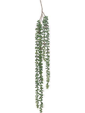 Plante artificielle tombante de senecon