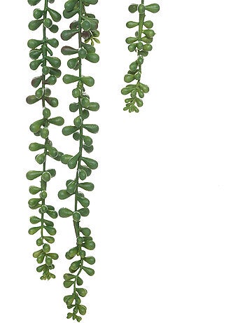 Plante artificielle tombante de senecon