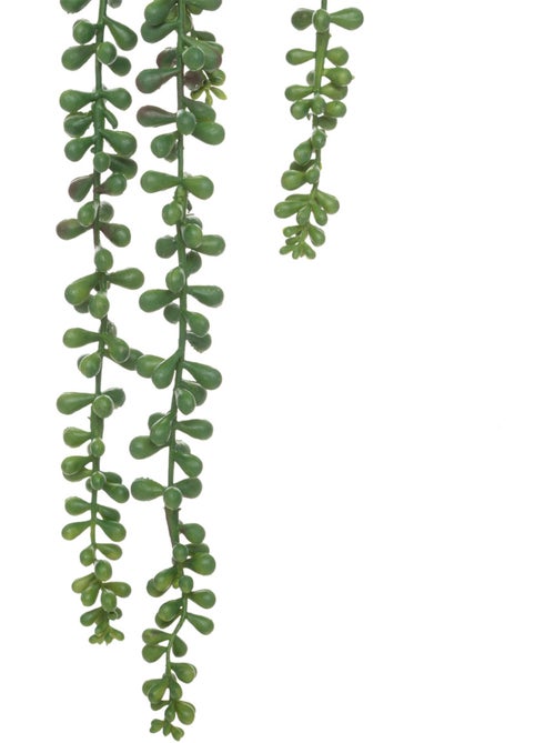 Plante artificielle tombante de senecon - Kiabi