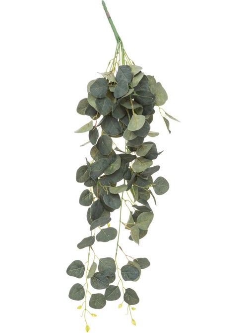 Plante artificielle tombante d'eucalyptus - Kiabi