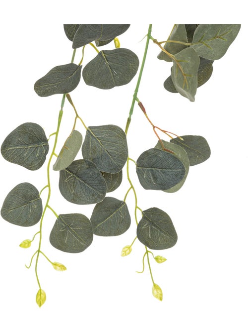 Plante artificielle tombante d'eucalyptus - Kiabi