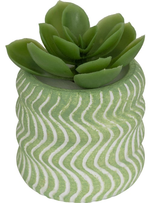 Plante artificielle UBI - Kiabi