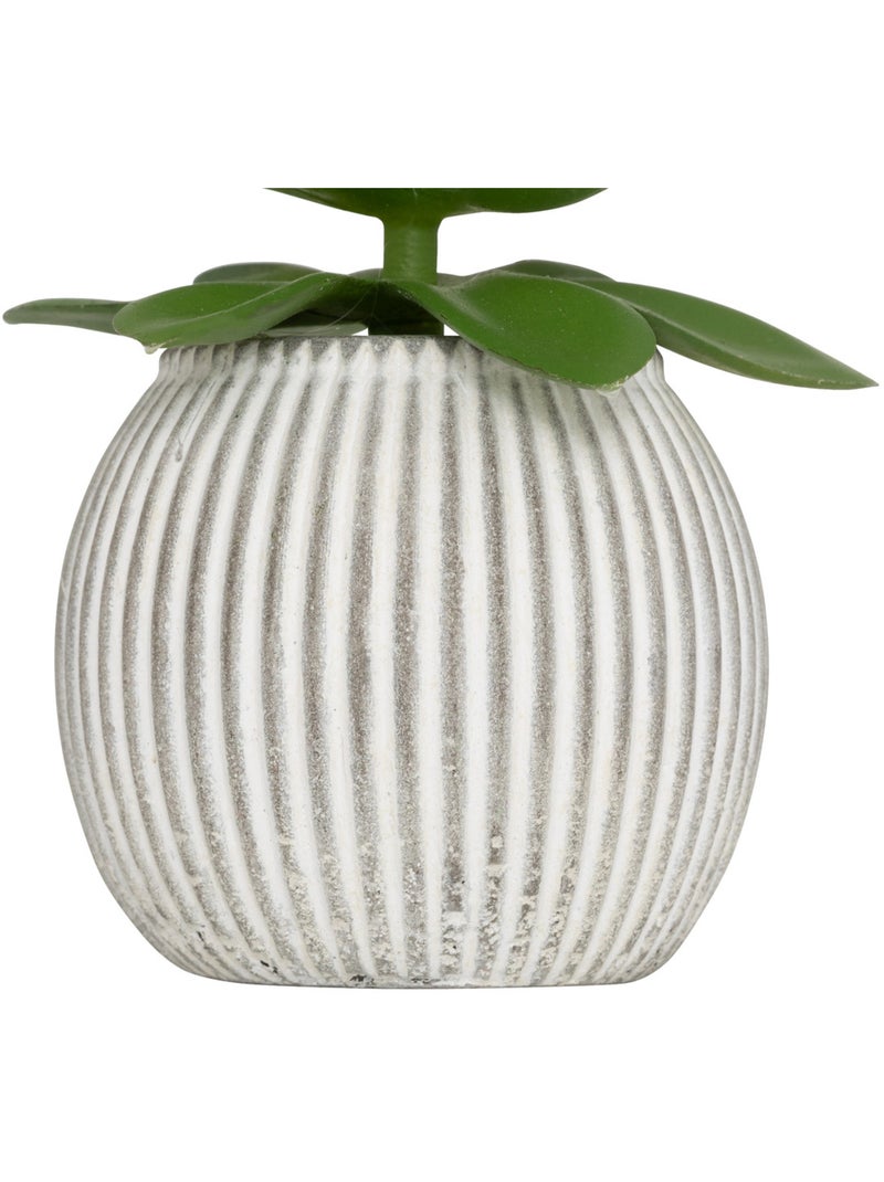 Plante artificielle UBI Blanc - Kiabi