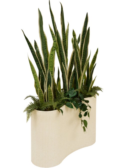 Plante grand format SKY - Kiabi
