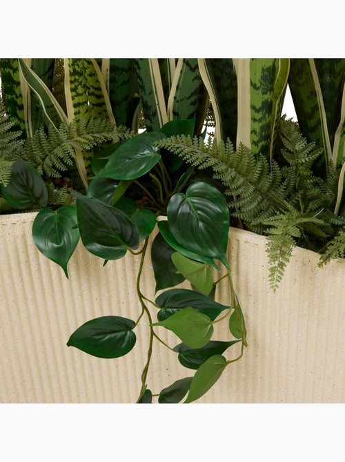 Plante grand format SKY - Kiabi