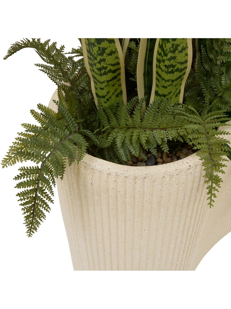 Plante grand format SKY Multicolore - Kiabi