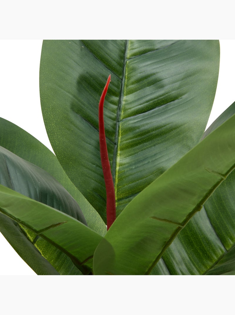 Plante grand format SKY Multicolore - Kiabi