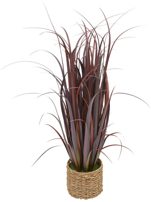 Plante grand format ZYA - Kiabi