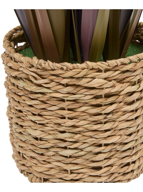 Plante grand format ZYA - Kiabi