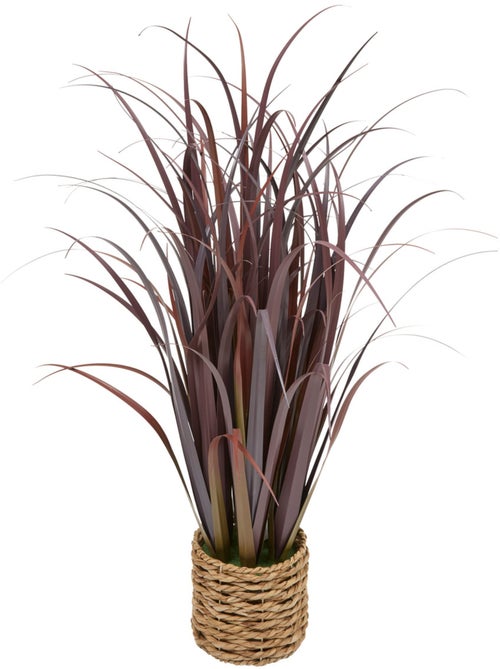 Plante grand format ZYA - Kiabi