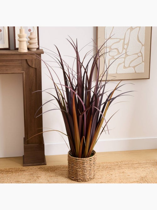 Plante grand format ZYA - Kiabi