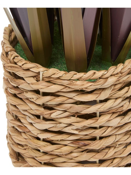 Plante grand format ZYA - Kiabi