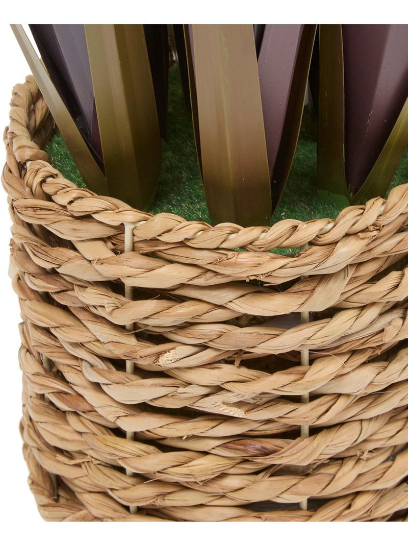 Plante grand format ZYA Rouge - Kiabi