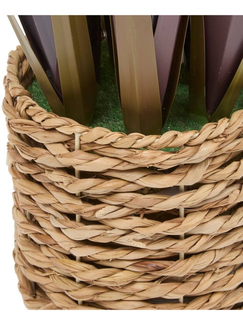 Plante grand format ZYA - Kiabi