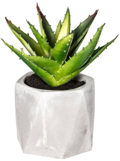Plante grasse artificielle MASAO - Kiabi